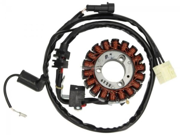 Parça: Gts 300 Hpe Rst  Statör-Manyeto Tablasi